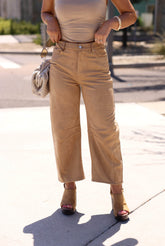 Taupe Suede Barrel Pants