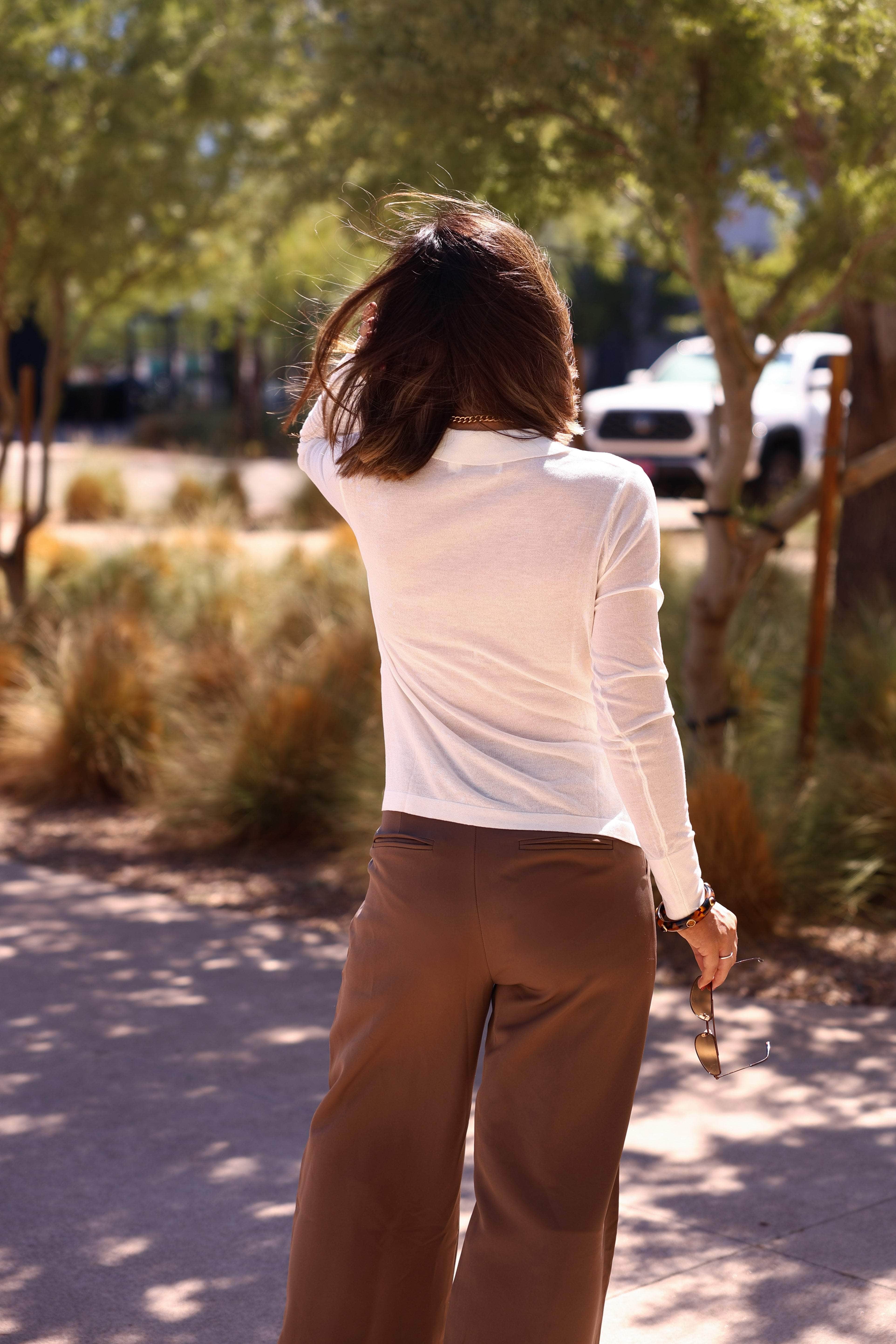 Classic Sheer Button Down