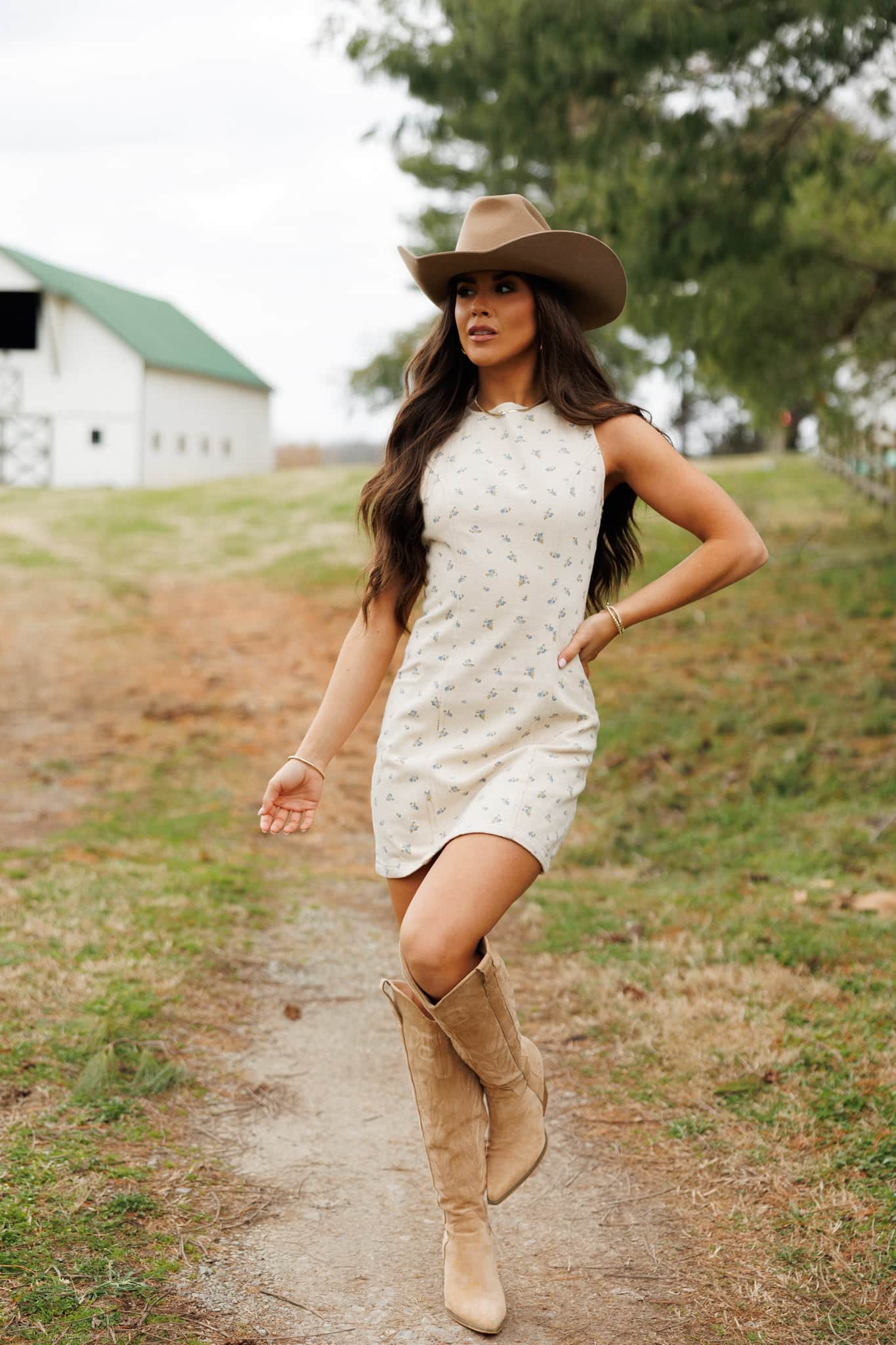 Bloomtown Denim Dress