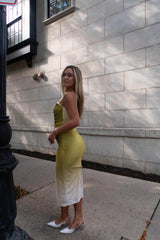 Evening Pour Velvet Dress