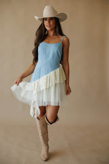 Daydream In Denim Dress