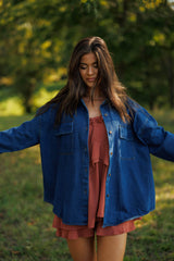 Willow Blues Denim Top