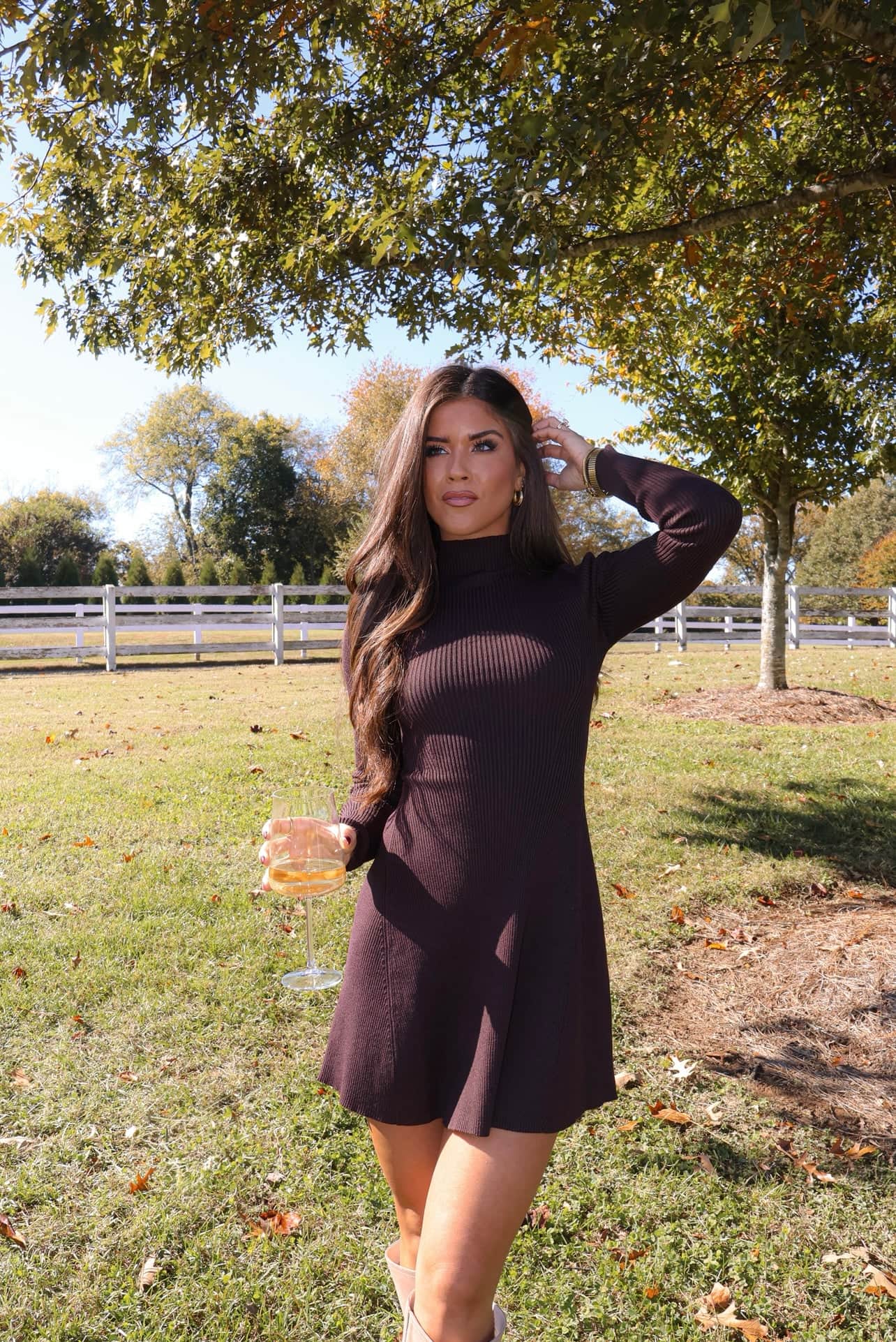 Toasting The Season Dress